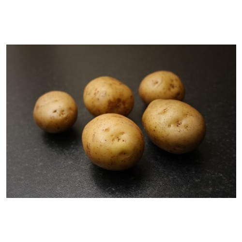 Sagitta Seed Potato 2kg (Second Earlies) - Pack of 10