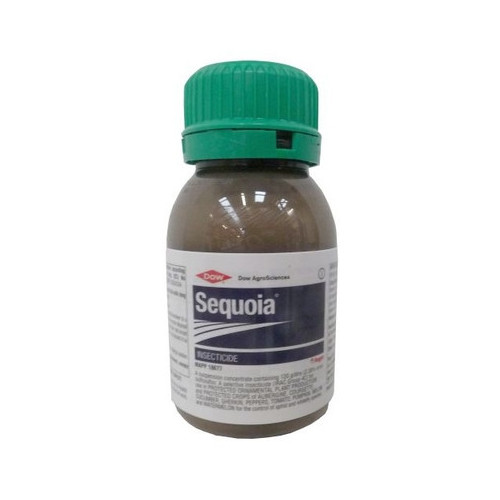 Sequoia (MAPP 18938) [250ml]