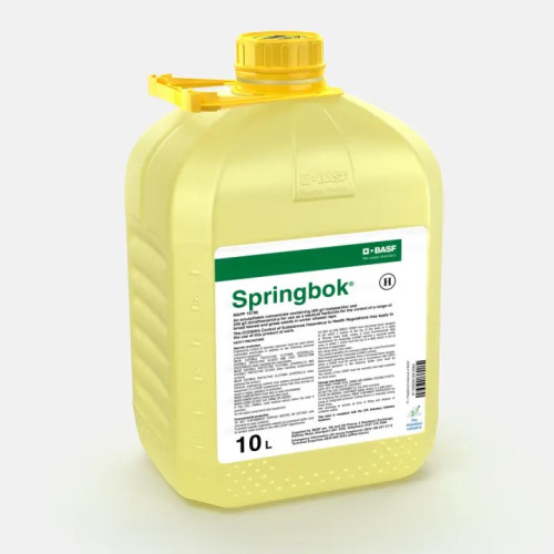 Springbok (MAPP 16786) [10L]
