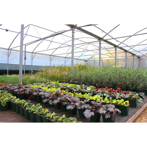 SunMaster Diffused Tunnel Cover 9.2m Wide