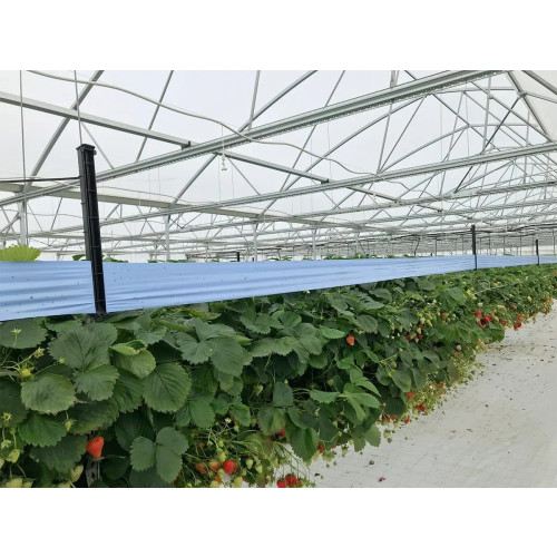 Suspension Frame for Roller Traps - Pack of 10