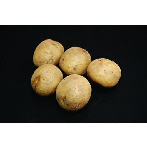 Swift Seed Potato 20kg (First Earlies)