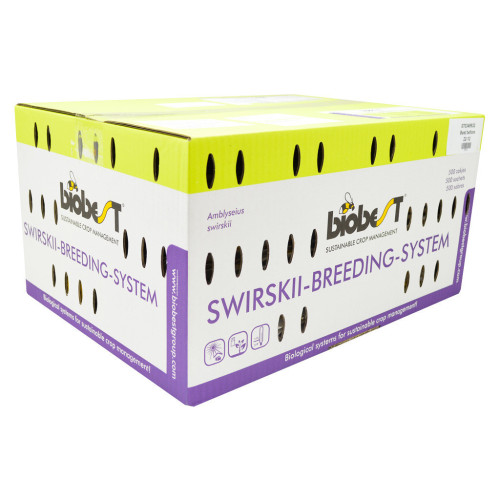Amblyseius swirskii (Swirskii-Breeding-Sys-100) - 100 breeding sachets / Carrier: bran and factitious prey
