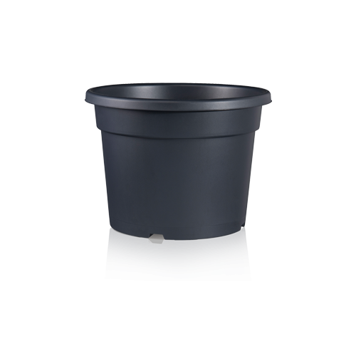 Teku Series MCD Container 31cm [12.0L] (Anthracite) (990/P,33x30/N) - Each