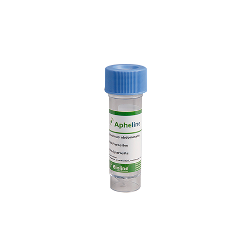 APHELINE - Vial - 250 individuals - Aphelinus abdominalis