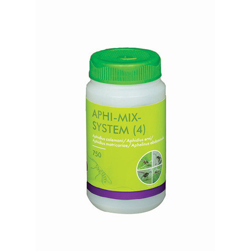 Aphidius col/erv/mat / Aphelinus abd (Aphi-Mix-Sys) - 100ml tube: 750 pupae