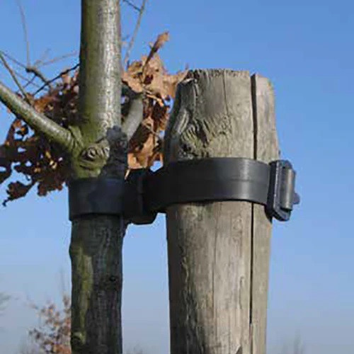 Rose & Shrub Ties 30cm (12") X 1.25cm (100)