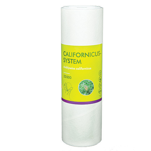Amblyseius californicus (Californicus-Sys-25K) - 1L tube: 25,000 mites / Carrier: Vermiculite