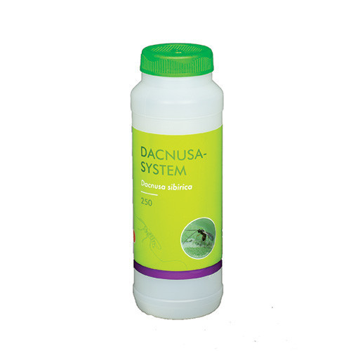 Dacnusa sibirica (Dacnusa-Sys-250) - 250ml tube: 250 adults