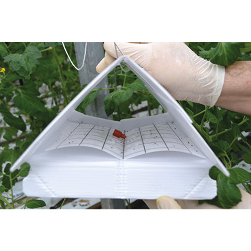 Sticky Inserts for Delta Traps - 10pcs