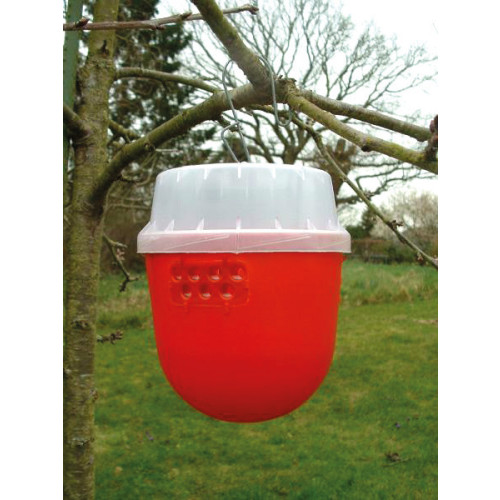 Droso Trap with grid