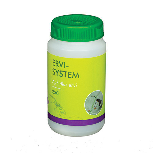 ERVILINE - Vial 30ml - 250 - Aphidius ervi