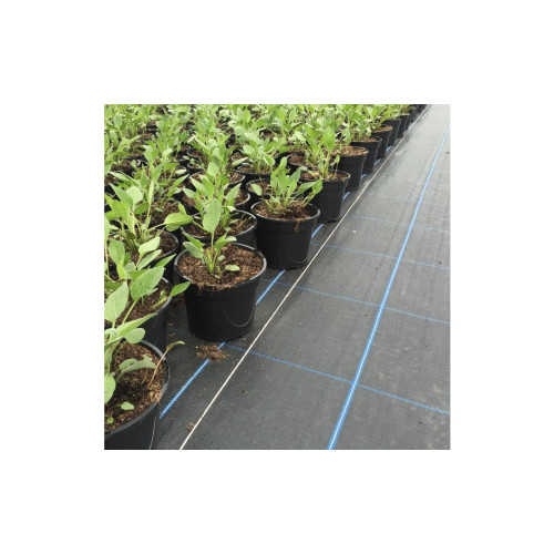 Permatex Groundcover 1.0m x 100m Premium Blue Grid 100g/m2