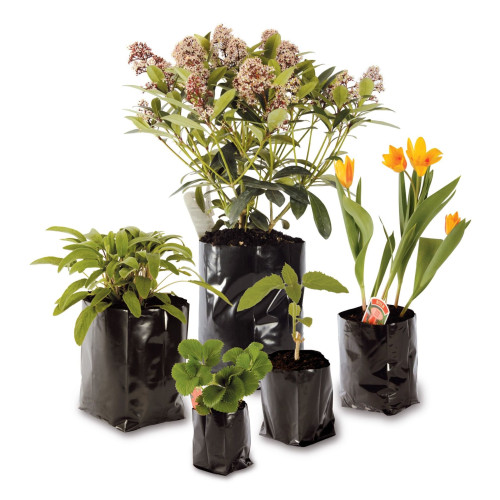 Hado Polypot HP3 1.5Lt (4.5" d x 5.5" h) (3500/B) - Each