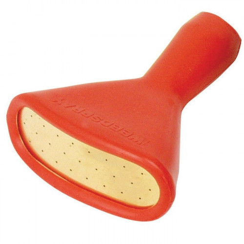 Haws 'Fine as Rain' Weedspray Rose [F11]