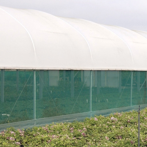 Monofilament Windbreak/Shade