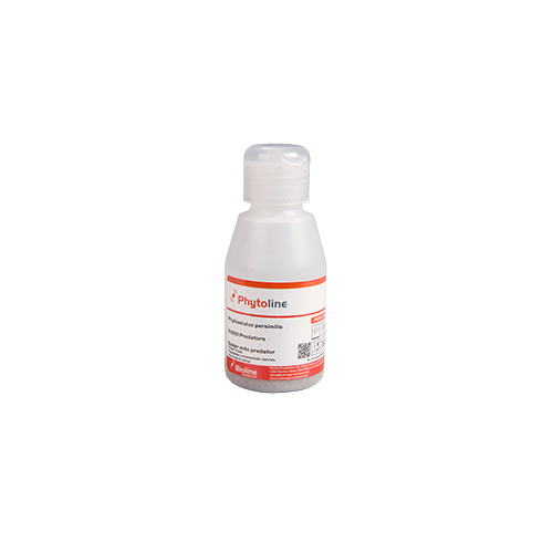 Phytoseiulus persimilis (Phytoseiulus-Sys-2K) - 30ml tube: 2,000 mites/ Carrier: Sawdust