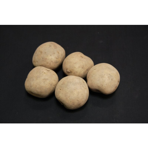 Rocket Seed Potato 20kg (First Earlies)