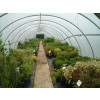 SunMaster Clear Tunnel Covers