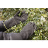 Spear & Jackson Kew Gauntlet Gloves (Black & Green) Sz XL