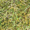 Sinclair Lawn Sand (Mini Granular) Ferrous Sulphate 20Kg (50/P) - Each