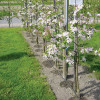 StreamlineX 16060 0.15mm Wall Thickness