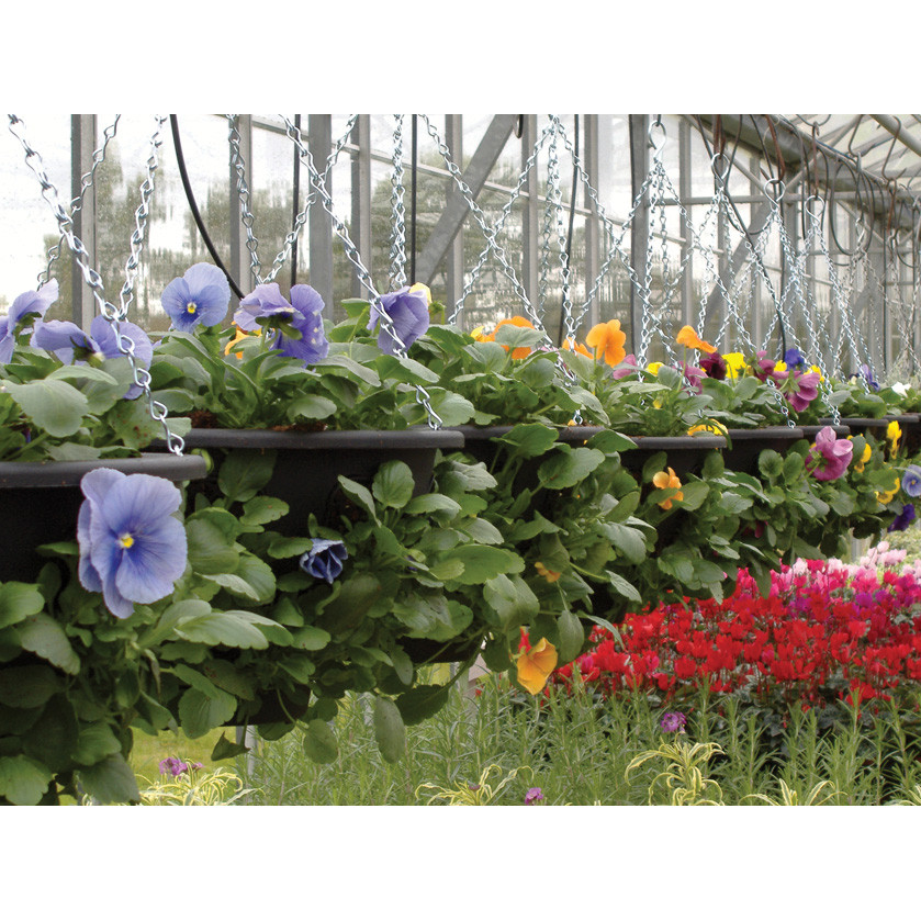 LS Plantopia Hanging Baskets
