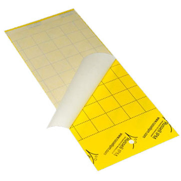 LS Russell IPM Sticky Glue Traps (25 x 10cm)