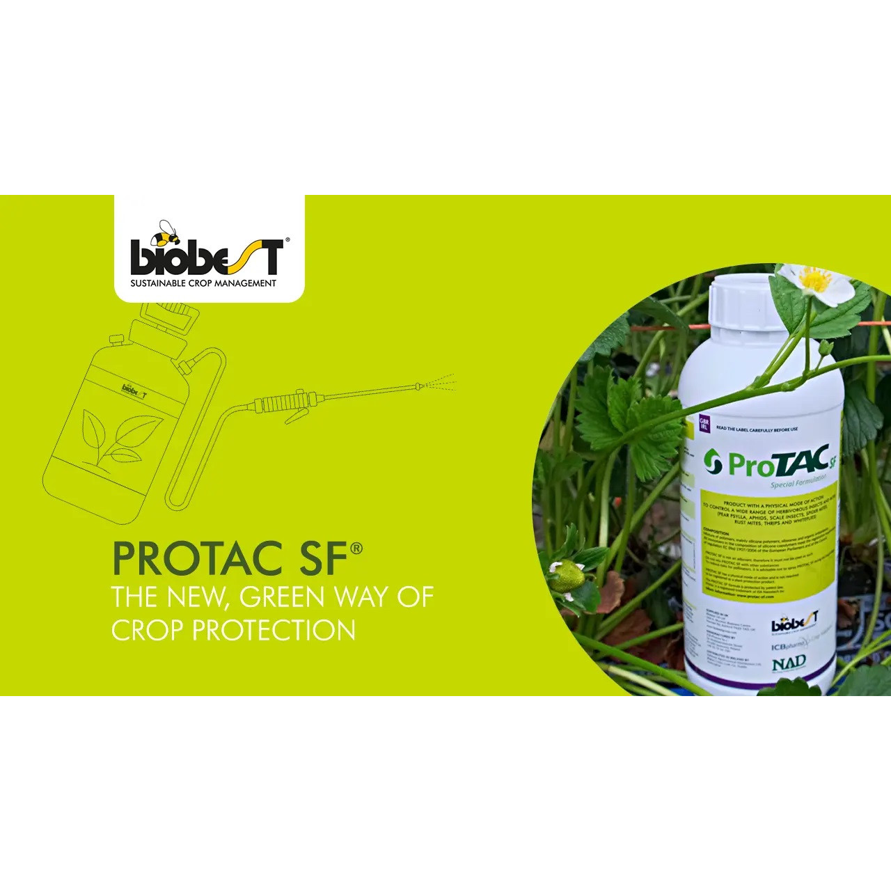 LS - Protac (Siltac) [1L]